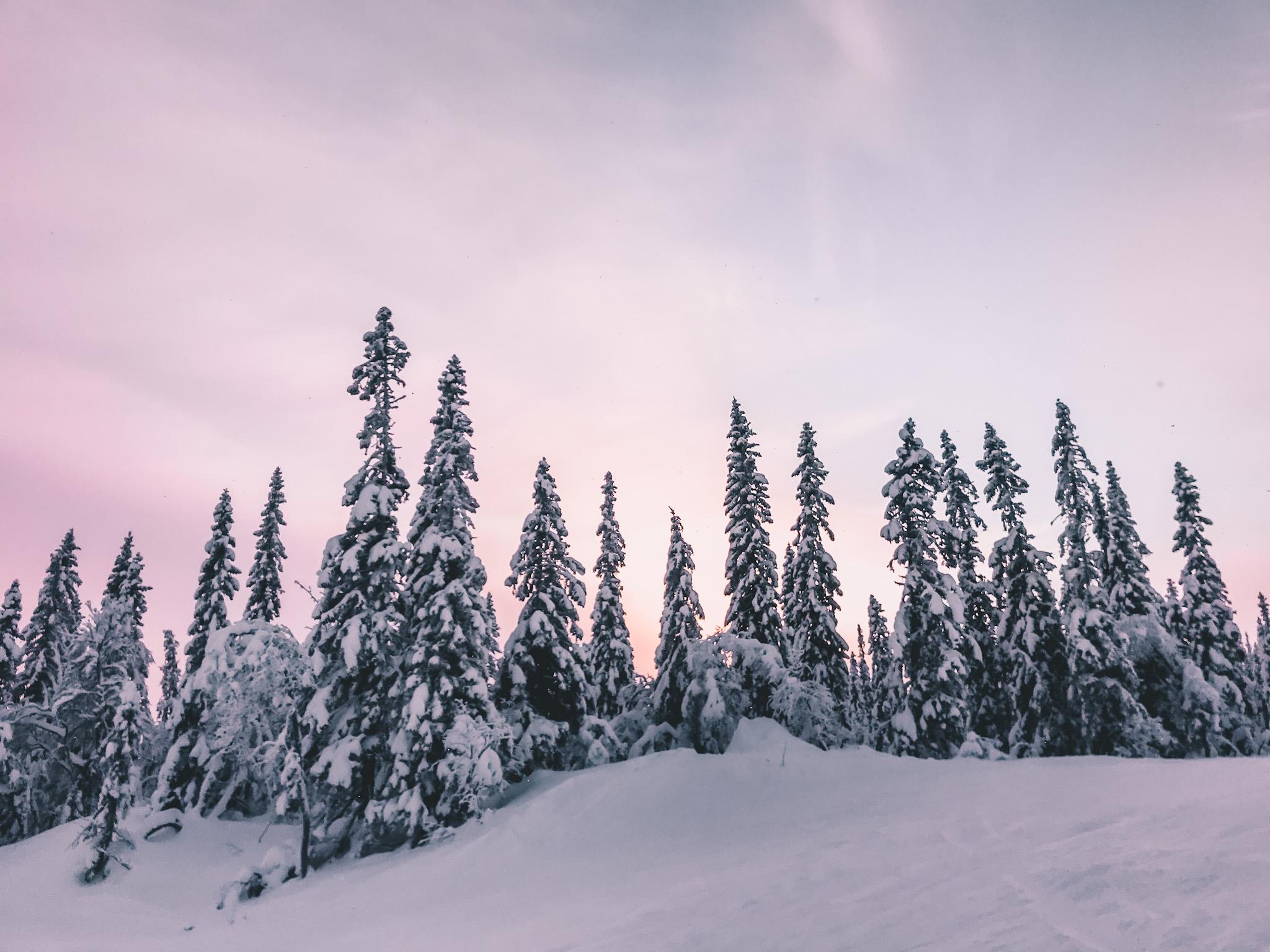 Boen op wintersport in Noorwegen tijdens zonsondergang